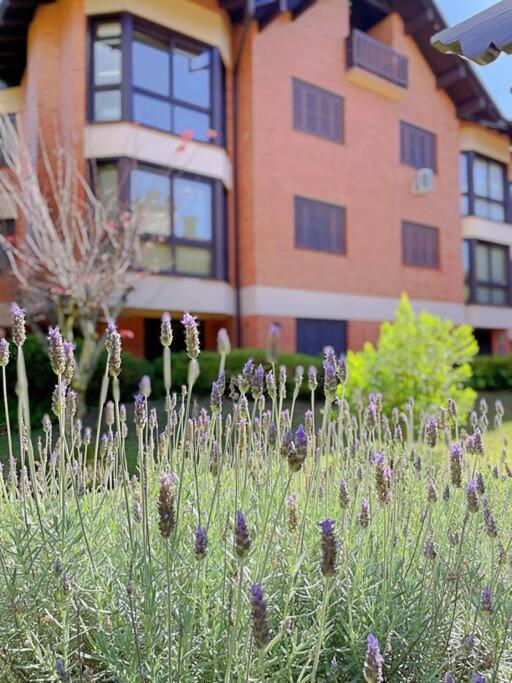 Aconchegante Apto 3 Dorm. Com Piscina Aquecida Gramado Zewnętrze zdjęcie